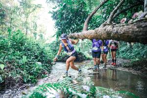 BIB: 
                            <button type="button" onclick="openModal(25443246)" class="btn btn-primary btn-sm float-right btn-popup" data-toggle="modal" data-target=".modal-high-quality">
                        <i class="fas fa-shopping-cart"></i> Add to Cart
                    </button>
                                            <button type="button" onclick="isThisMe(25443246, true)" class="btn btn-success btn-sm float-right btn-popup btn-isme hidden" data-toggle="tooltip" data-placement="bottom" title="นี่คือรูปของคุณใช่ไหม คลิกที่นี่เพื่อเอาเข้าอัลบั้ม">
                        <i class="fas fa-plus"></i> Add to album
                    </button>
                    <button type="button" onclick="isThisMe(25443246, false)" class="btn btn-warning btn-sm float-right btn-popup btn-isnotme hidden">
                        <i class="fas fa-ban"></i> Remove from album
                    </button>